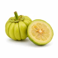 Ilustrace složky: Garcinia cambogia