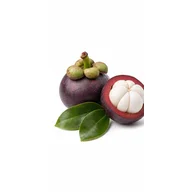 Ilustrace složky: Mangostan
